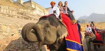 A Day With Elephants In Jaipur Tour