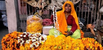 Jaipur Flower Vegetable Milk Market Tour