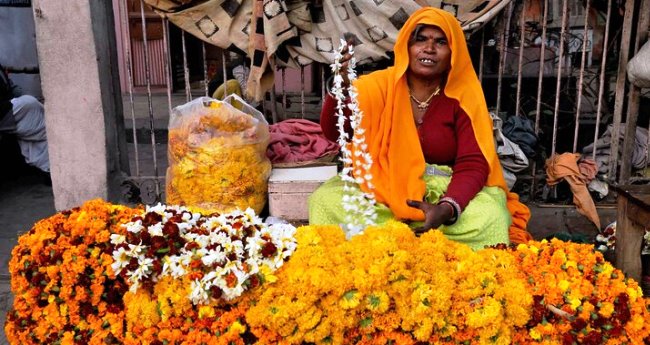 Jaipur Flower Vegetable Milk Market Tour