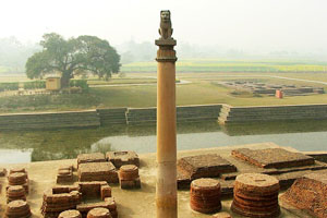 About-Ashoka-Pillar