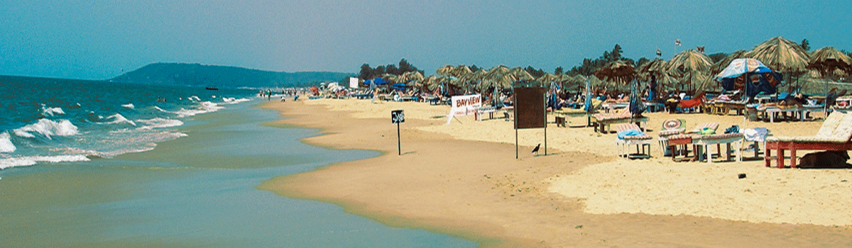 about-candolim-beach-goa-india