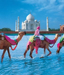 Golden Triangle Tour Packages