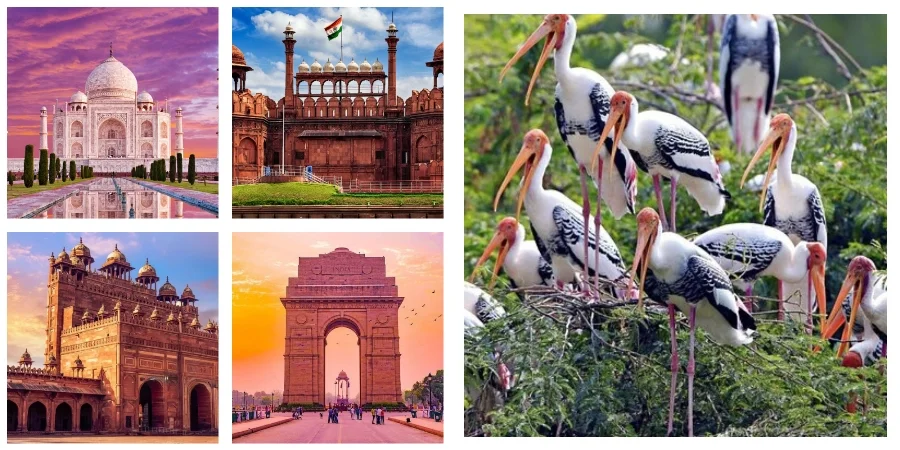 Golden Triangle with Bharatpur Bird Sanctuary Tour