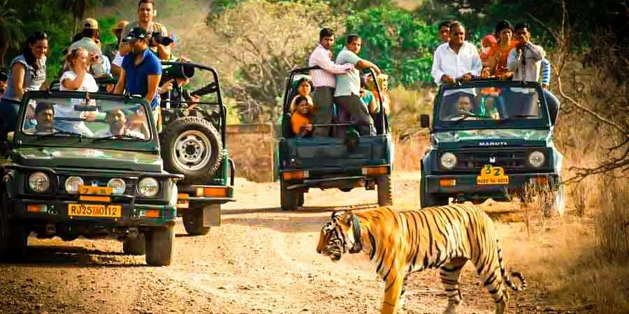 Jaipur Ranthambore Tour