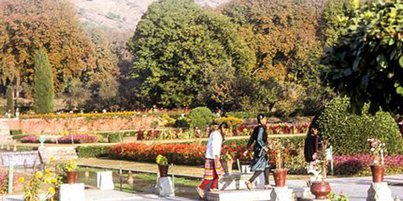 about-nishant-bagh