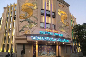About-Taraporewala-Aquarium