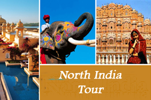 North India Tours 