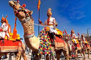 About Bikaner Camel Festival