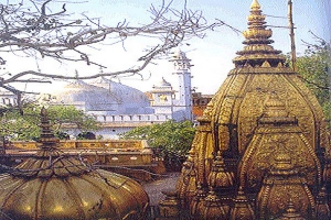About-Vishwanath-Temple
